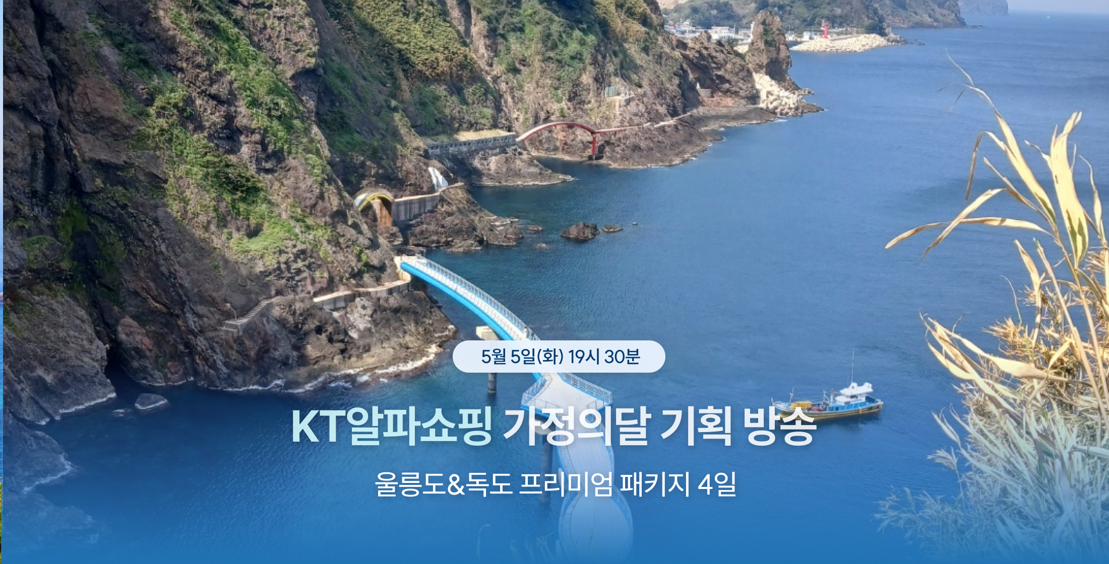 TEST_[KT알파쇼핑 0505] 투어트리 울릉도&독도 프리미엄 4일